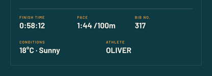 Coastal Open Water poster, close-up of the personalised stats