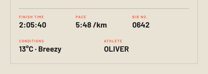 Meadowbrook Tri poster, close-up of the personalised stats