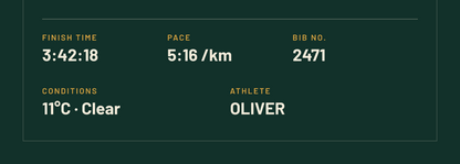Riverside City Marathon poster, close-up of the personalised stats